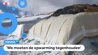 Baa! Researchers use sheep's wool to protect glaciers