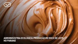 Eco-friendly agribusiness: dulce de leche production in Paraná