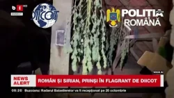 FLAGRANT: ROMÂN și sirian, trafic de droguri, cultură de canabis