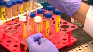 La UNAH y la investigación científica