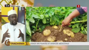 Serigne Gora SEYE : « Il n’existe pas de médecine traditionnelle, mais il existe la médecine naturel