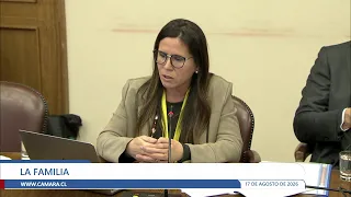 Comisión de Familia - Lunes 17 agosto 2026