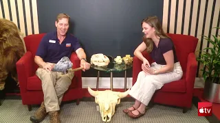 What's new at the Beardsley Zoo | Tales of Tails