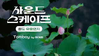 연꽃의 절정 8월, 청도 유등연지에서 부르는 혁오의 Tomboy