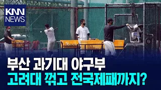 Busan Institute of Science and Technology Baseball Team Wins National Collegiate Baseball Champio...