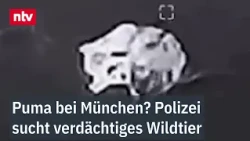 Major operation: A large animal has been spotted near Munich, possibly a puma | ntv