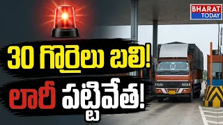 🚨 Palasa: Horrific accident.. 30 sheep dead...| BT