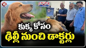 Veterinary Doctor Saves Pet Dog’s Life with Endoscopic Surgery | V6 Teenmaar