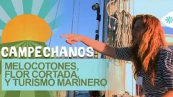 Campechanos | Productor de melocotones, flor cortada, agricultor y promotora turismo marinero