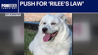 Florida dog death sparks push for groomer rules
