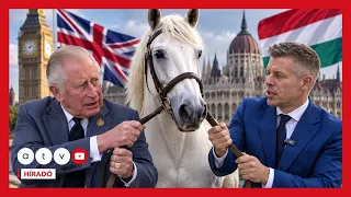 Lóháború Londonnal: visszakérhette Károly király ajándékát a Tisza-kormány, vagy mégse?