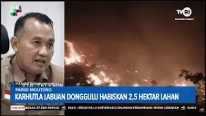 Parigi Moutong: Karhutla Labuan Donggulu Habiskan 2,5 Hektare Lahan