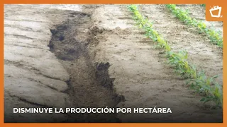 Soil degradation increases costs and reduces producers' income