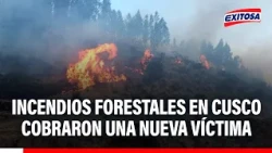 🔴🔵 Forest fire in Cusco claims another victim