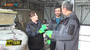 ALIN TERİ   21 ŞUBAT 2026 CAM ve AYNA SANATI