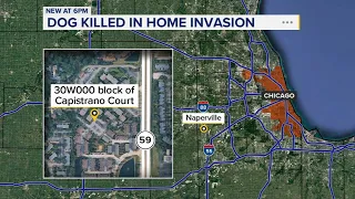 Man, woman charged in violent unincorp. Naperville home invasion: SA