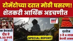 Special Report | टोमॅटोला कवडीमोल भाव,एका क्रेटसाठी दीडे ते 3.50 रुपये दर