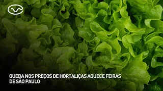 Lower vegetable prices stir up business at São Paulo farmers' markets