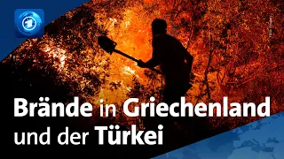 Waldbrände in Südeuropa: Feuer auch in Griechenland und der Türkei – Was sind die Ursachen?