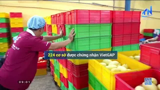 Tay Ninh Strengthens Quality Control and Traceability of Agricultural Products