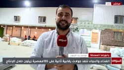 Stepped-up market oversight as olive season begins, with warnings against dealing with unreliable...
