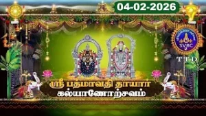 Sri Padmavathi Ammavari || Kalyanotsavam || Tiruchanoor || 04-02-2026 || SVBC2 Tamil || SVBC TTD