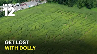 5-acre Dolly Parton corn maze honors country icon and her love of reading
