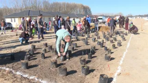 Újabb zöld sikert értek el Kecskeméten: különleges minierdővel gazdagodott a város