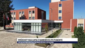 Rrëzohet nga çatia e banesës ku po punonte