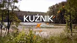 Kuźnik Nature Reserve