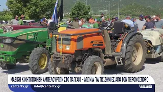Μαζική κινητοποίηση αμπελουργών στο Παγγαίο – Αγωνία για τις ζημιές από τον περονόσπορο