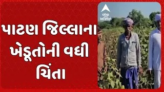 Patan News | ચોમાસામાં વરસેલા અનિયમિત અને અપૂરતા વરસાદથી પાટણ જિલ્લાનો ખેડૂત ચિંતામાં