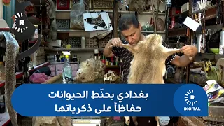 Baghdadi man turns animal taxidermy into a profession to preserve memories