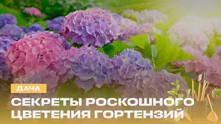 09/26/19 dacha