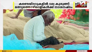 MSC Elsa ship accident causes ongoing crisis off Kerala coast; Fishermen suffer losses worth lakhs
