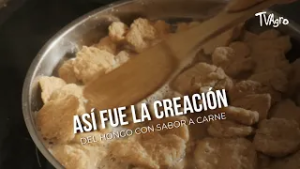 Así fue la creación del hongo con sabor a carne - TvAgro por Juan Gonzalo Angel