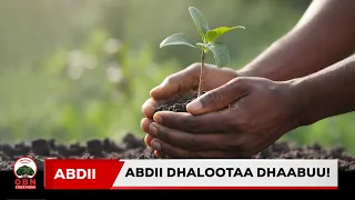 Baroota darban biqiltuun biliyoona 8 caalu dhaabame bu’aa akkamii argamsiise?