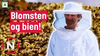 Jon lærer om bier, Ellen frykter for hønene! | Jon blir bonde | TVNorge