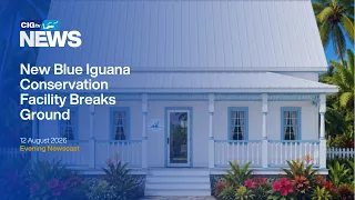 New Home for Blue Iguana Conservation | Wednesday 12 August  | CIGtv News