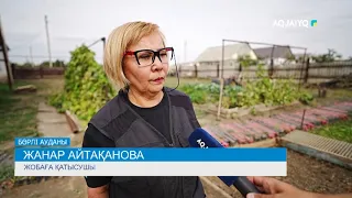 BATYS AGRO HUB – ИГІЛІГІ МОЛ ЖОБА