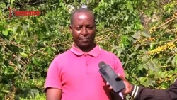 Ekuirwo eri guikio ngono makiiya kahua Kagumo, Kirinyaga