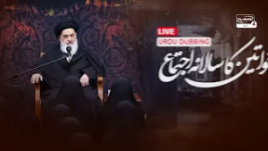 Khwateen ke Liye Namoona e Amal | Ayatollah Sayyid Sadiq Hussaini Shirazi Ke Bayanat
