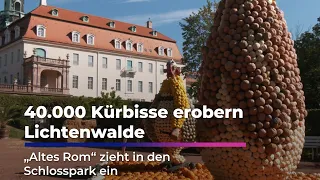 40,000 Pumpkins Take Over Lichtenwalde: "Ancient Rome" Moves Into the Palace Park | Sachsen Ferns...