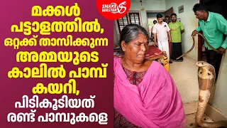 ഒറ്റക്ക് താസിക്കുന്ന അമ്മയുടെ കാലിൽ പാമ്പ് കയറി | Cobra Rescue by Vava Suresh | Snakemaster EP 1206