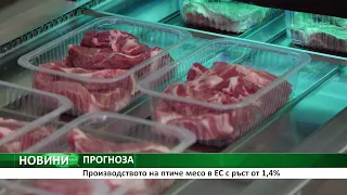ПРОГНОЗА: Производството на птиче месо в ЕС с ръст от 1,4%