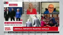 Adrian MITROI, profesor de economie, Analiza PROGRAMULUI NICULESCU: încropeală rezonabilă