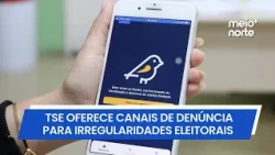 Learn how to report electoral irregularities and which channels to use | Meio Norte