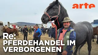 Rumäniens umstrittene Pferdemärkte | ARTE Re: