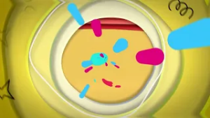 ¡No te pierdas el estreno de Lero Lero Animalero por Canal Capital!