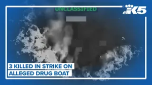 3 killed in strike on alleged drug boat